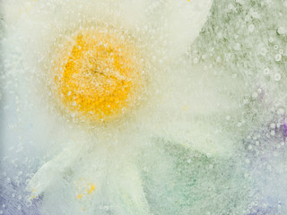 organic abstraction with flower