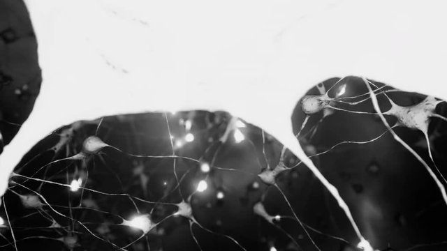 Visualization of a very active brain or neural net. 

Fly through a network of communicating neurons and synapses. Take a hectic journey through the pulsating brain. 3D science visualization.