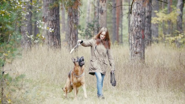 Young woman and her pet - german shepherd - walking on a autumn forest - girl playing with a dog in the woods