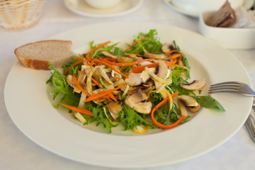 Plate with green salad