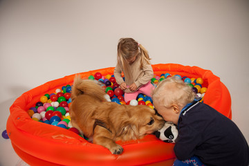 mit dem Hund im Bällebad spielen