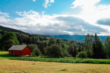 Obraz premium Carpathian mountains. Mountain oasis.
