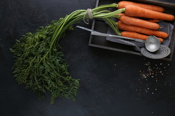 Carrot on a dark gruond