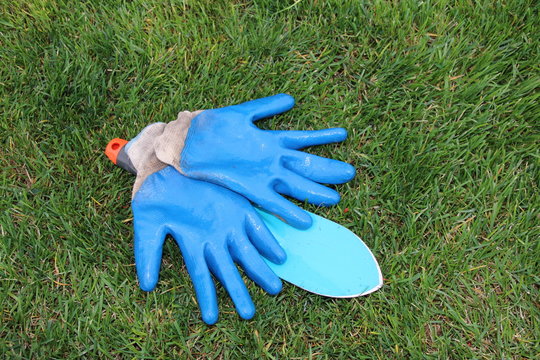 Garden rubber gloves and a trowel on the mown lawn in the autumn garden