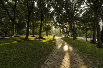 Fototapeta premium path in the park