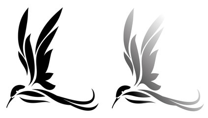 Silhouette of bird, hummingbird illustration © kopecky76