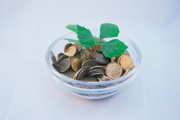 gold coins, gold coins background, business background