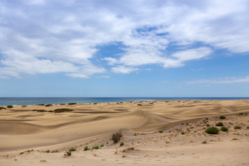 Sand dunes of the Canary Islands. Spain