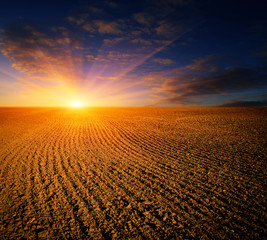 sunset over ploughed fild