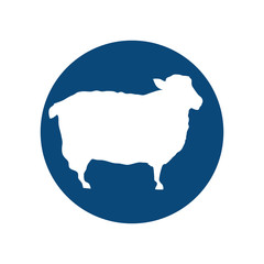 sheep animal silhouette over blue circle shape. vector illustration