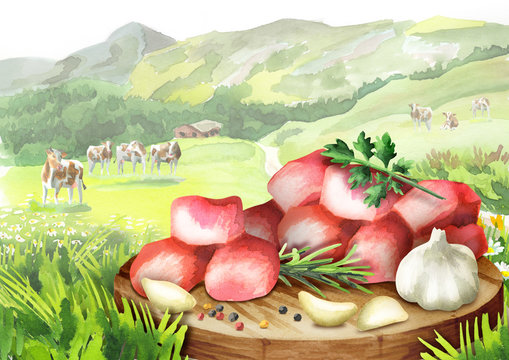 Raw fresh spicy beef cubes with herbs and spices on a plate in landscape with cows. Watercolor
