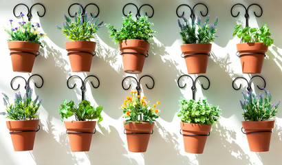 Background from flower pots, hanging on the wall
