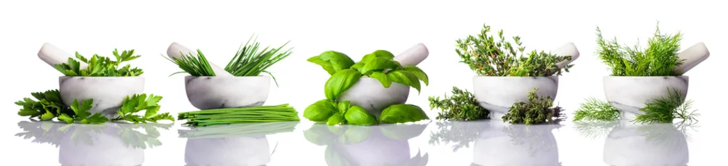 Fotobehang Stamper en vijzel met groene kruiden op witte achtergrond © xfotostudio