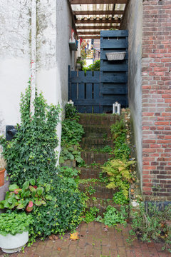old romantic stone staircase with green plants
