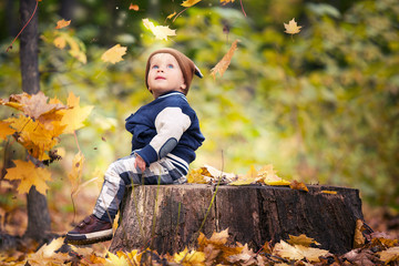Beautiful baby boy one years old crawling in fallen leaves - autumn scene. Toddler have fun outdoor...