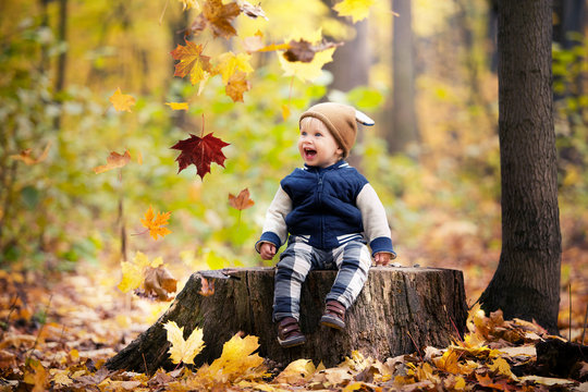 Beautiful baby boy one years old crawling in fallen leaves - autumn scene. Toddler have fun outdoor in autumn yellow park