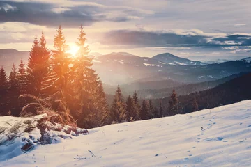 Foto op Canvas Landscape of sunny day in winter mountains . © vovik_mar