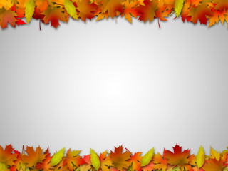 beautiful autumn background. leaves in a frame.
