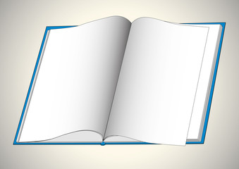 Blank open book