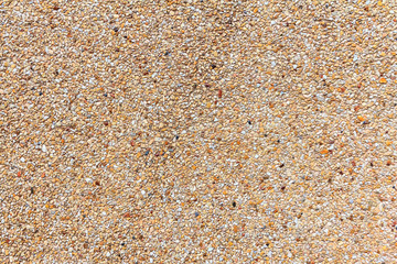 Wall of small sand stone texture. Pebbles and sand wall texture.