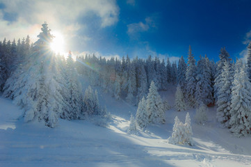 Snowy winter in mountains