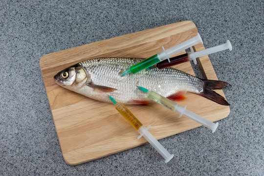Raw fish, not cooked. White fish on a cutting Board riddled with
