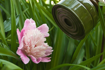 gas masks and flowe