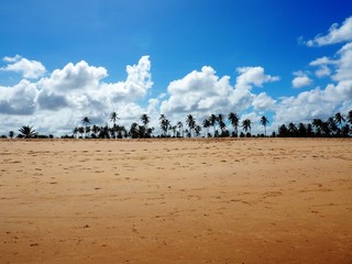 Plaża z palmami w oddali i niebieskim niebem