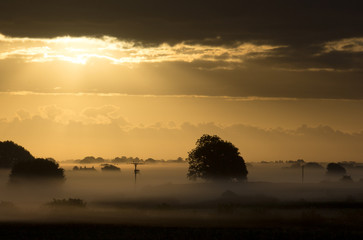 Mist Covered Landscape at Daybreak