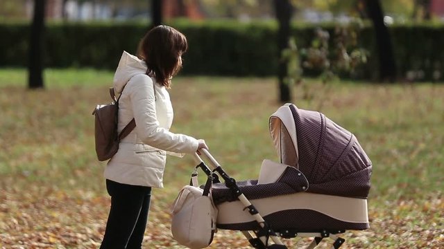 Mother walking with a baby pram (stroller, carriage) in the park. Autumn nature background. Love and family concept.
