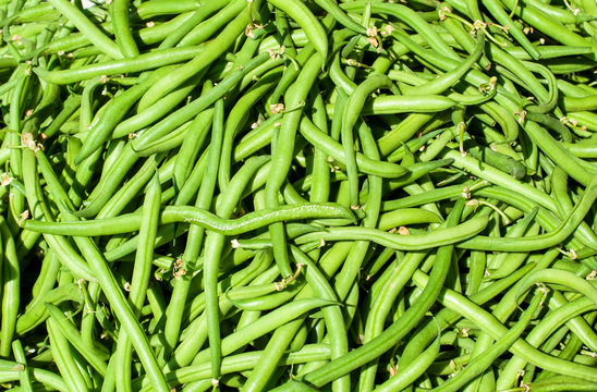 Green beans at Market
