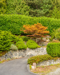 Beautiful outdoor landscape garden in Vancouver, Canada.