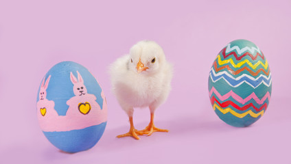 Baby chick with two colorful Easter eggs on pink background