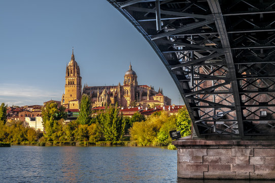 catedral de salamanca