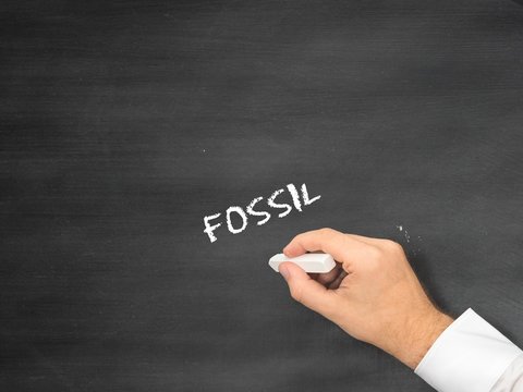 Fossil
