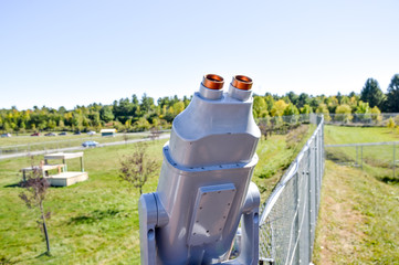 Binocular viewer in safari, Montreal
