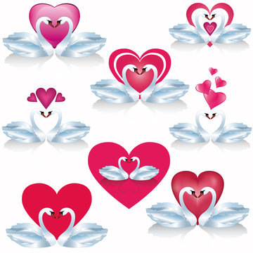Set of white swans with hearts, vector