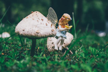 Small fairy reading next to a mushroom