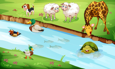 Obraz premium Many wildlife living by the river