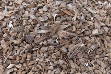the pile of coconut