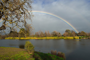 Rainbow over pond in California