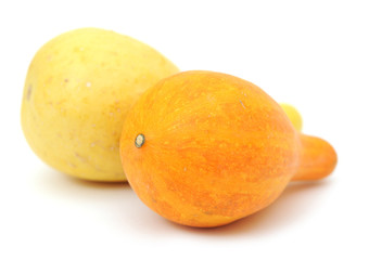 two yellow gourd