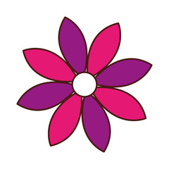 beautiful flower cute icon vector illustration design