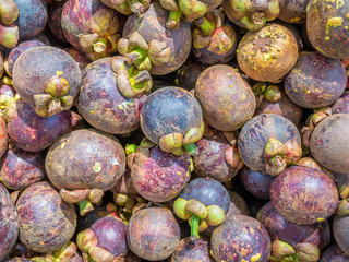mangosteen in the market