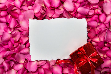 empty white paper love card place on red petals roses with red gift box