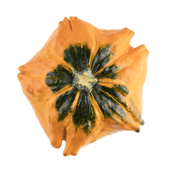Isolated Autumn Gourd