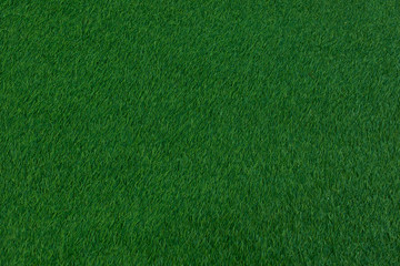 Dark green grass carpet.