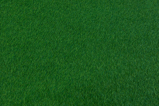 Dark green grass carpet.