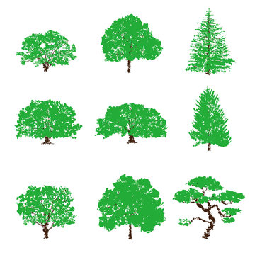 樹木のイラスト