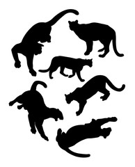 Lion wild animal silhouettes, Good use for symbol, logo, mascot, sign, or any design you want.